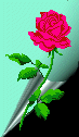 Rose.gif (3917 bytes)
